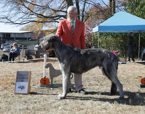 2024 15-18 DOGS PLACE