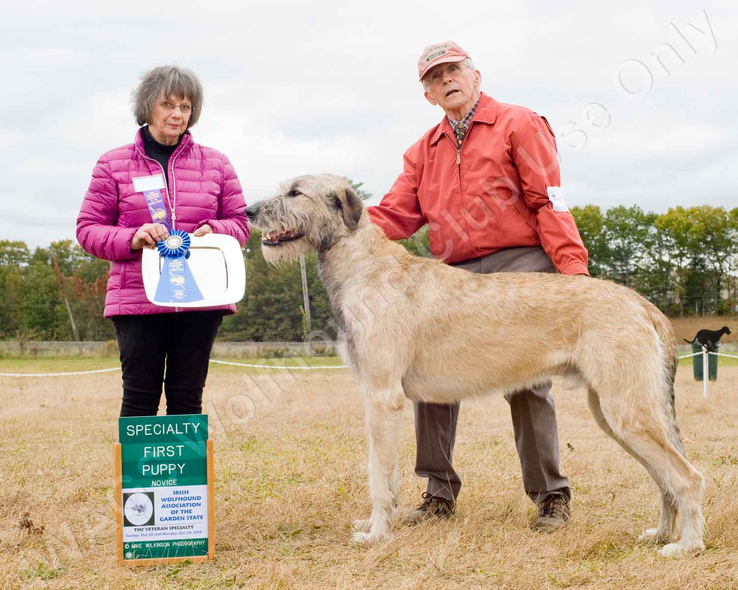 2018 NOVICE DOG 1ST