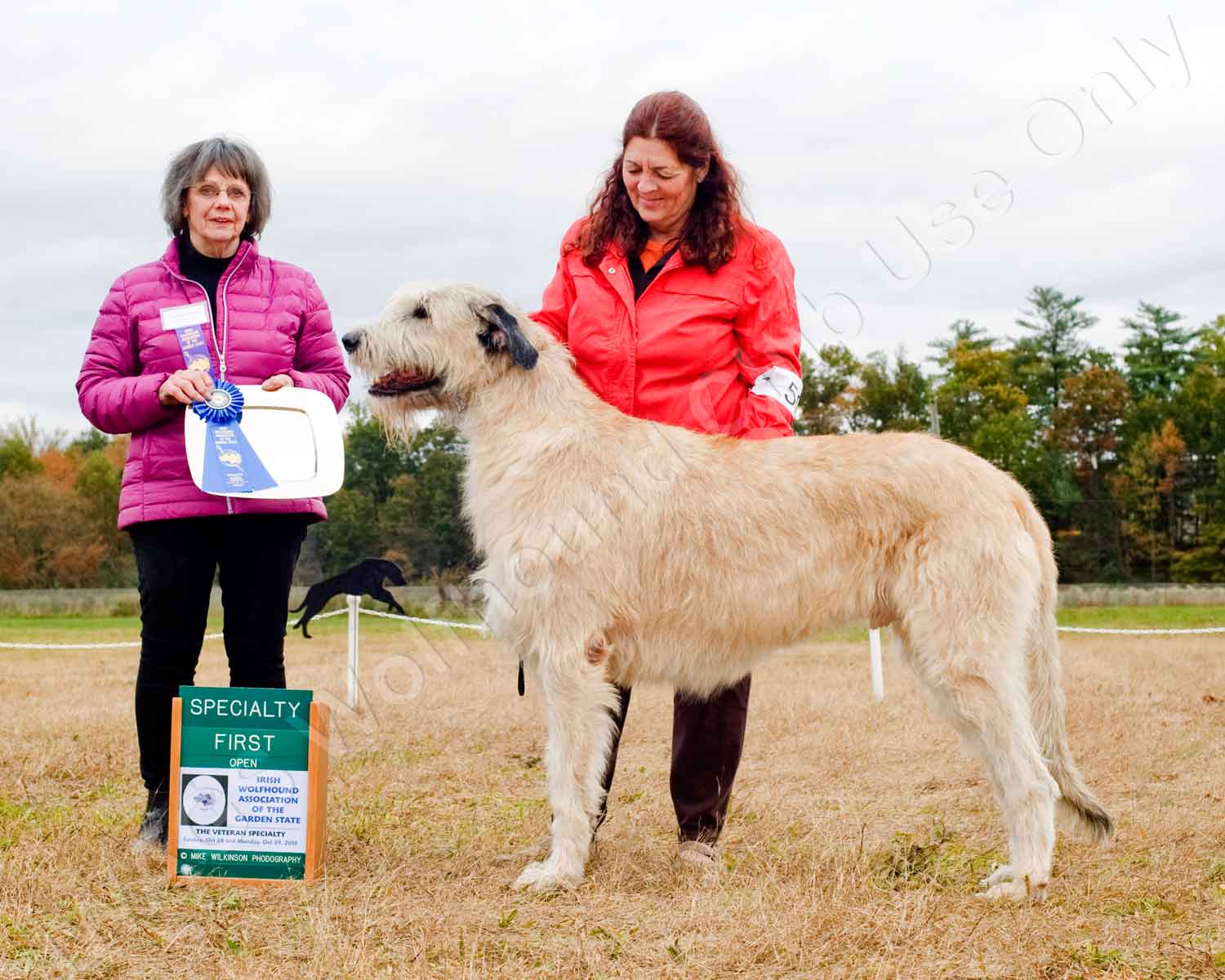 2018 OPEN DOG 1ST