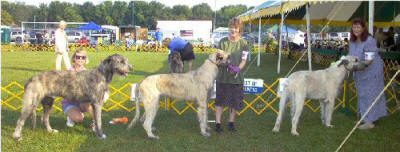 2004 SWPS 12-15 DOGS PLACE