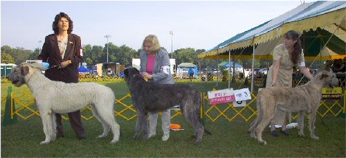 2004 SWPS 6-9 DOGS PLACE