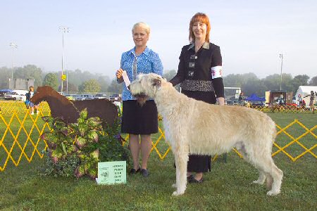 2004 VET SWPS DOG GOLD 1ST