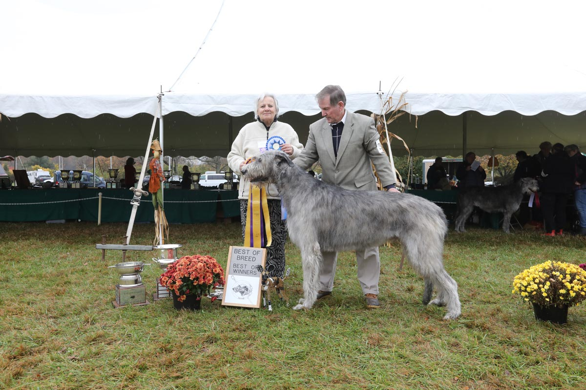 2023 BEST OF BREED, BEST OF WINNERS