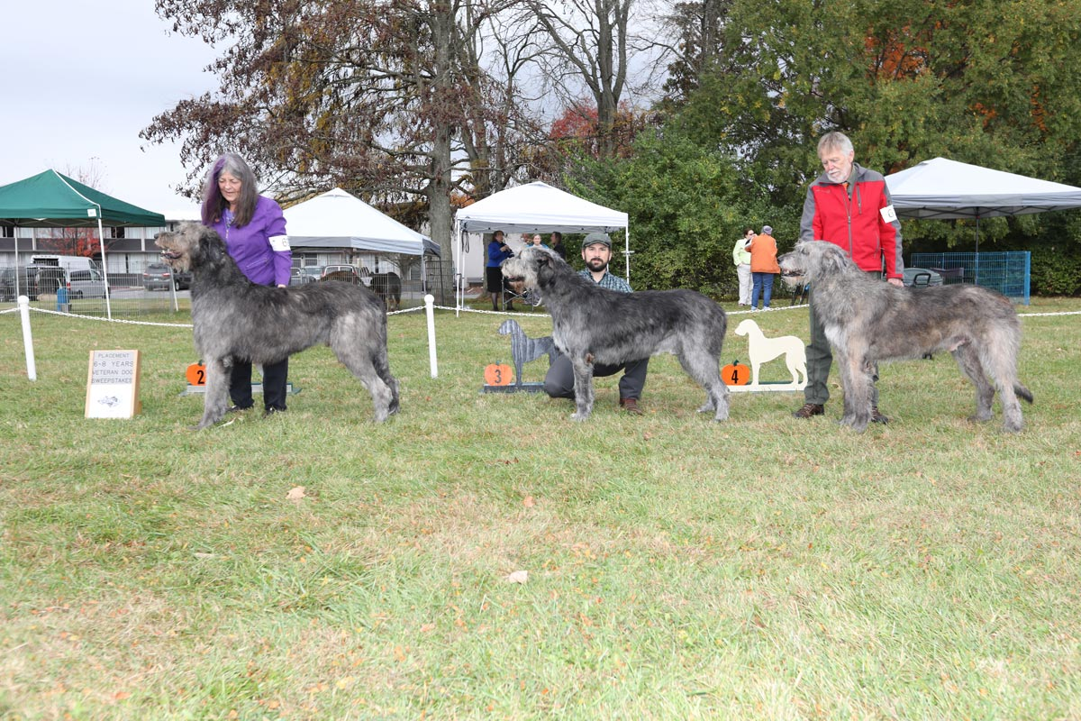 2023 VET SWPS BRONZE DOG PLACE