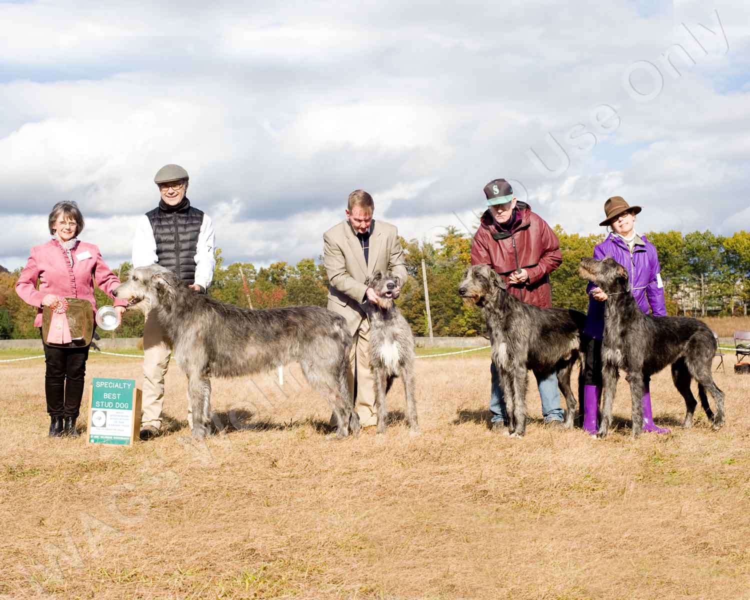 2018 STUD DOG 1ST