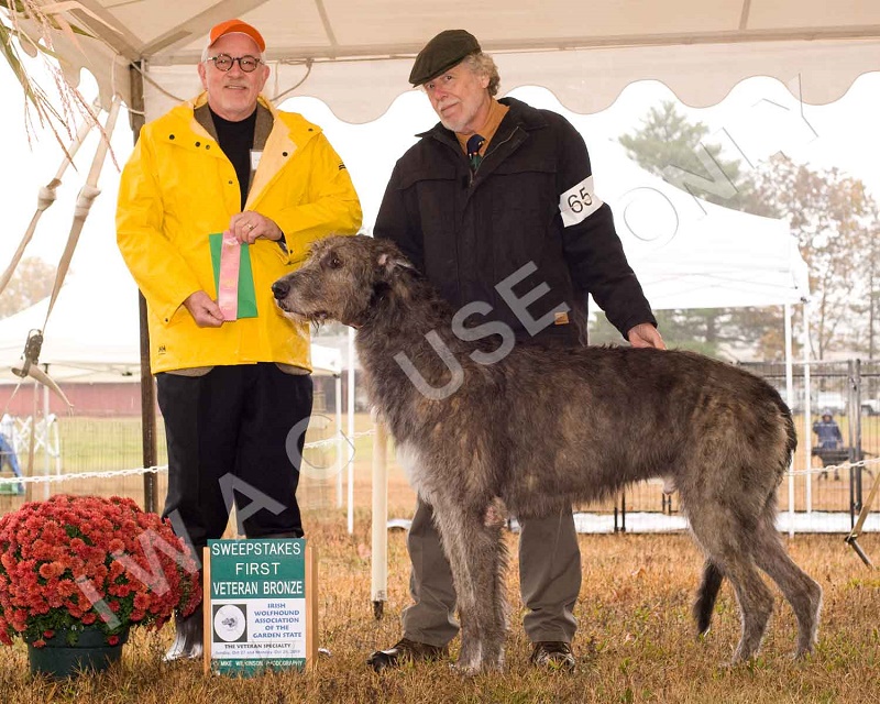 2019 VET DOG BRONZE 1ST