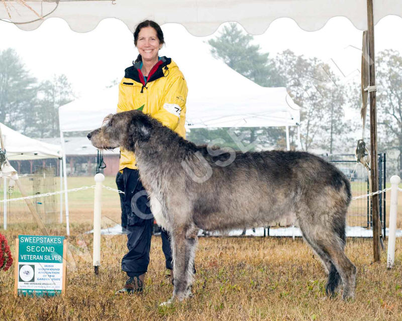 2019 VET SWPS SILVER DOG PLACE