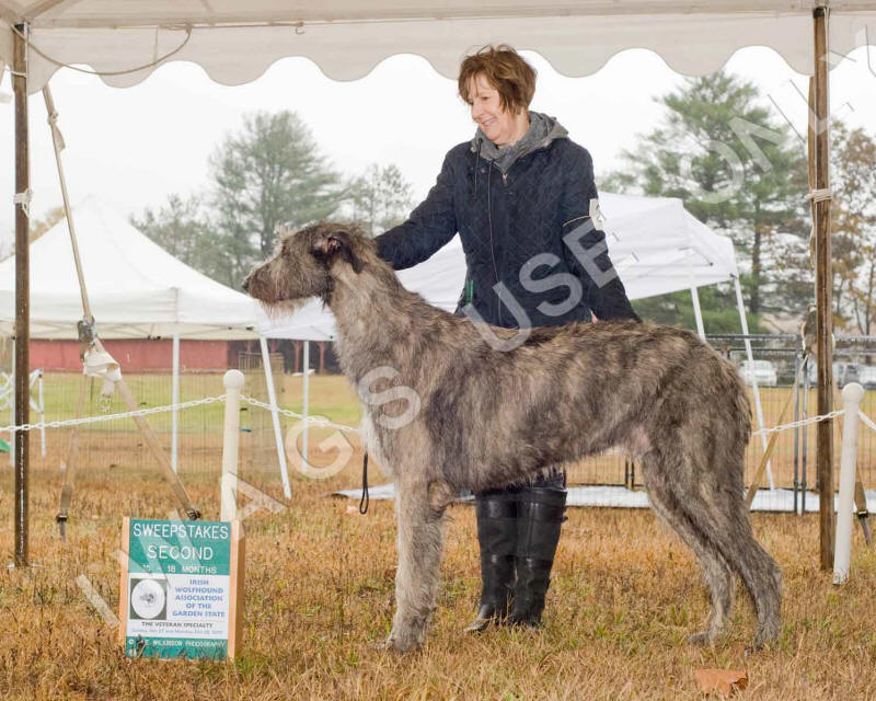 2019 SWPS DOG 15-18 PLACE