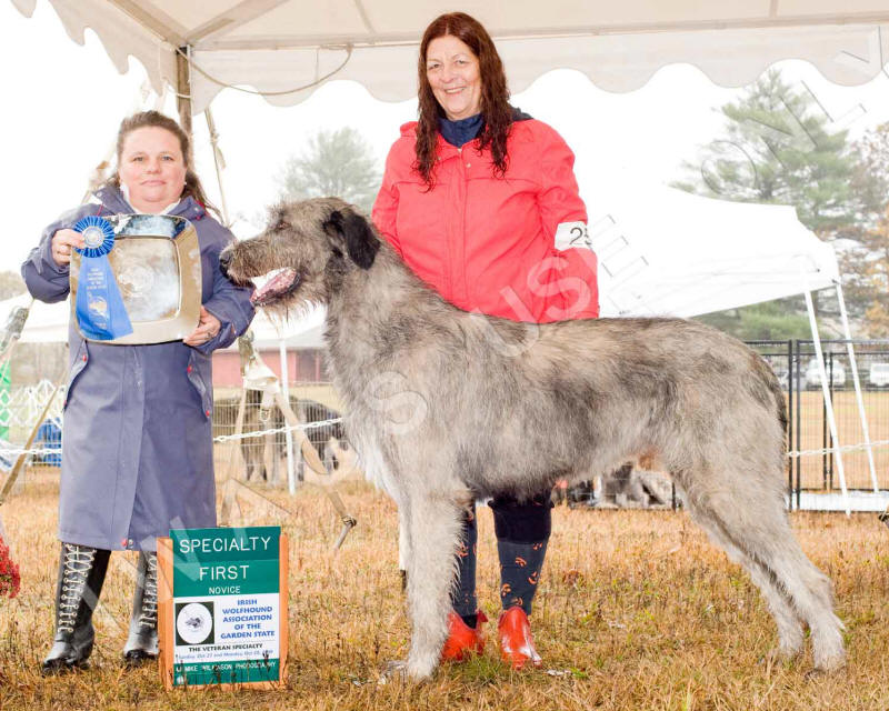 2019 NOVICE DOG 1ST