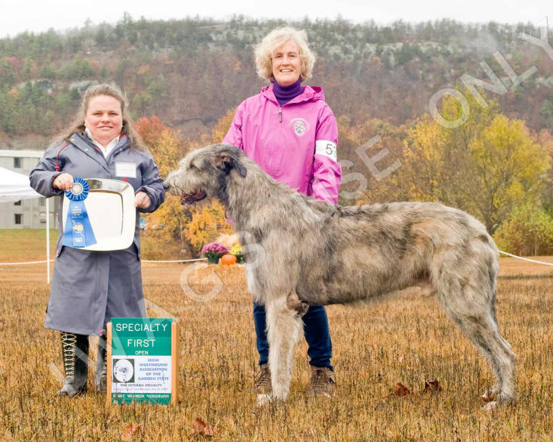 2019 OPEN DOG 1ST