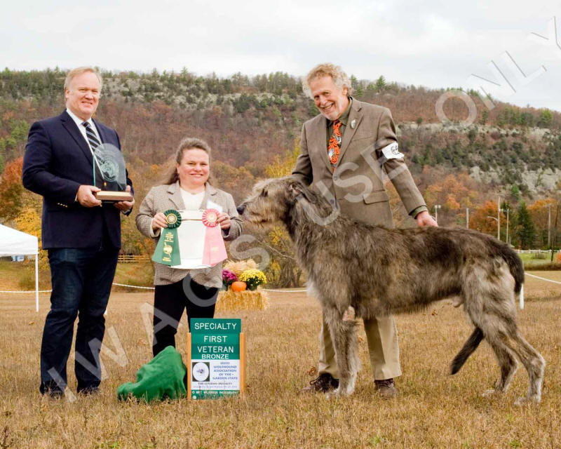 2019 VETERAN DOG BRONZE 1ST