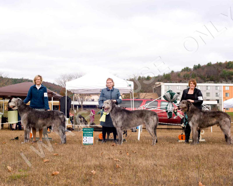 2019 VETERAN DOG BRONZE PLACE