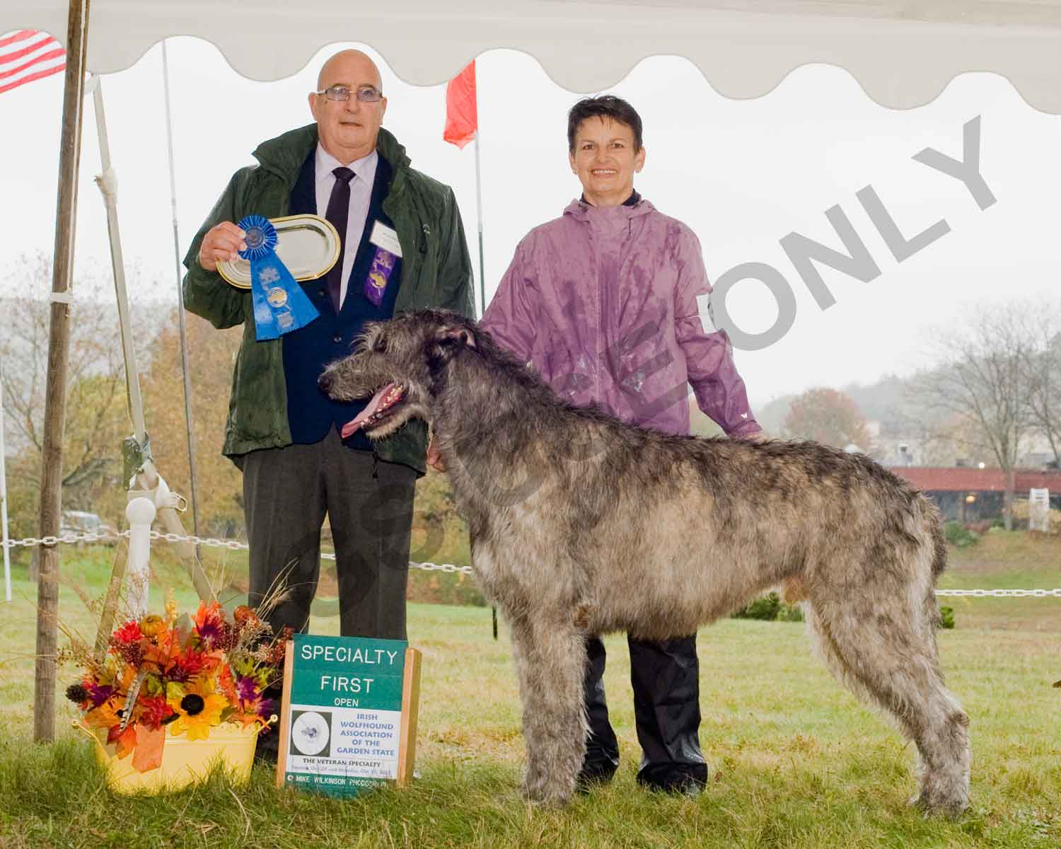 2017 OPEN DOGS 1ST