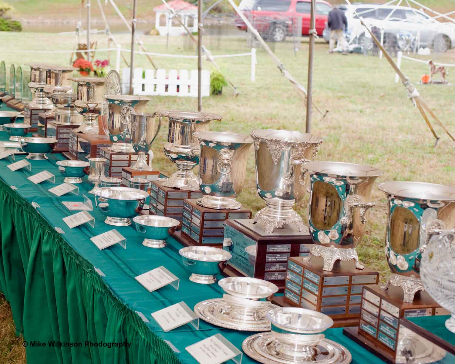 2017 TROPHY TABLE
