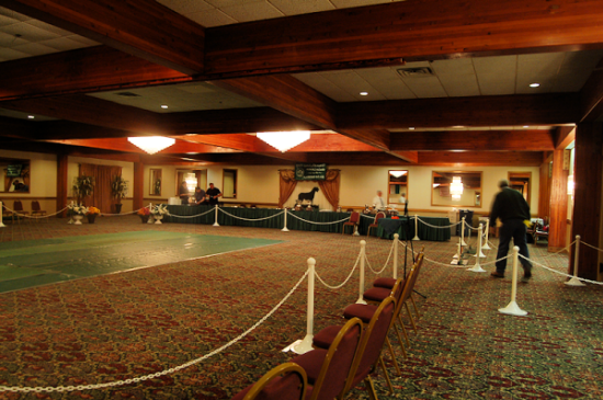 2012 HOTEL BALLROOM