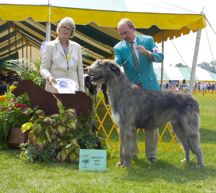 2004 OPEN DOGS 1ST