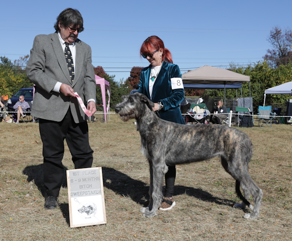 2024 SWPS PUPPY BITCHES 6-9 1ST