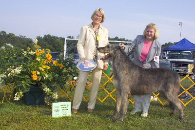 2004 VETERAN DOGS BRONZE 1ST