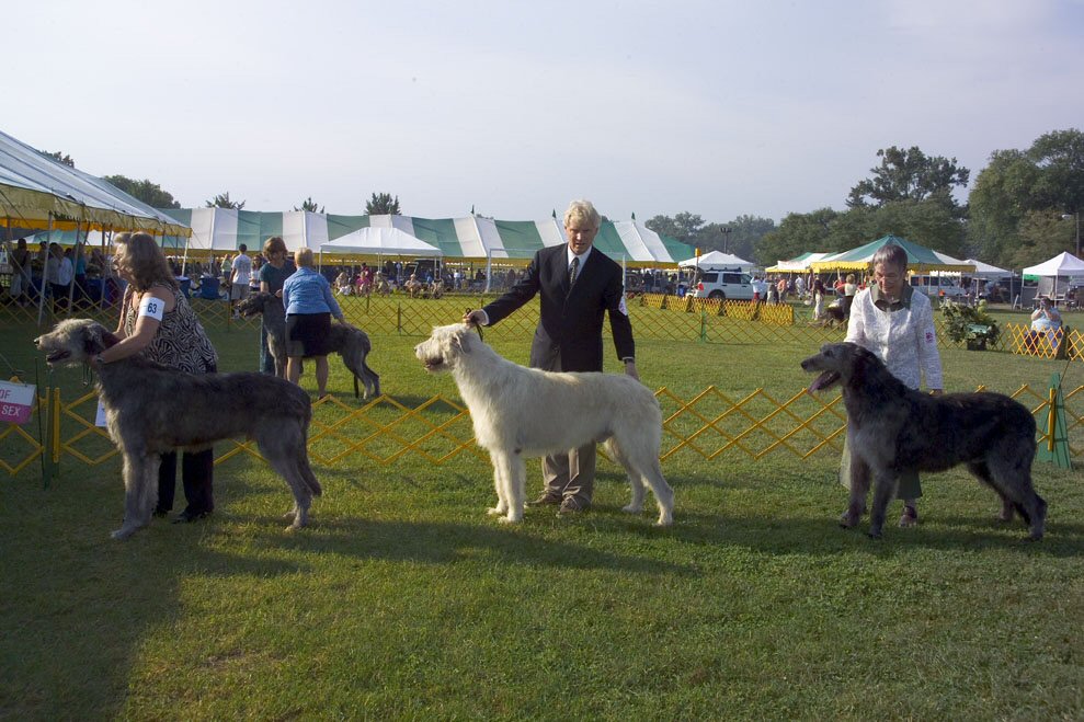 2004 VETERAN DOGS BRONZE PLACE